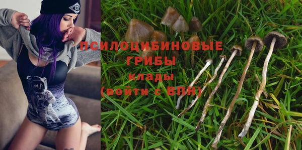прущий лед Армянск