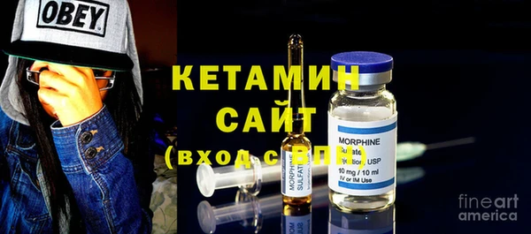 шишки Абаза