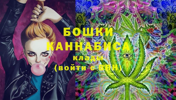 шишки Абаза