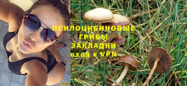 эйфоретик Аркадак