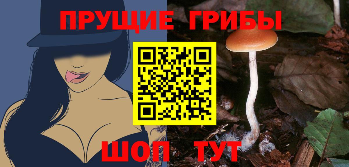 Каменск-Уральский  купить наркотик  Вход с VPN  Галлюциногенные грибы мухоморы  Псилоцибиновые грибы Magic Shrooms 